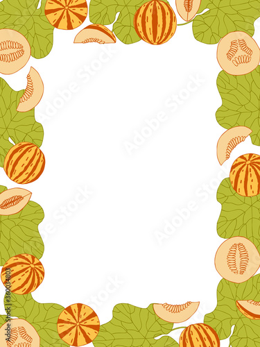 Tiger melon frame on white background. Hand drawn seamless pattern. Stock vector illustration.
