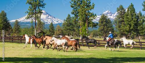 Sisters, Oregon - 7/14/2009: Galloping horses & Cowboy at RB Ranch with three sisters mountains in the background.