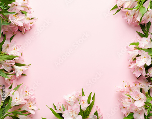 Floral composition made of fresh pink alstroemeria on light pastel background. Festive flower concept. Flat lay, top view, copy space. Greeting card or wedding invitation card design.