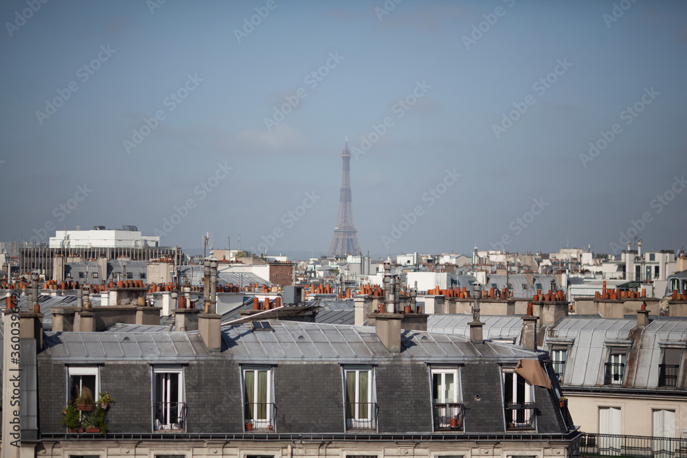 Toit de Paris avec la Tour Eiffel