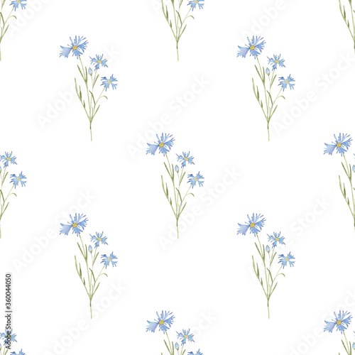 Seamless pattern of watercolor flowers cornflowers on a white background. Use for wedding invitations, holidays, menus.