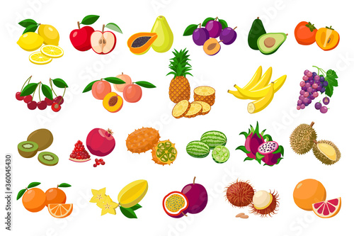 Large fruit collection detailed vector illustrations isolated on white background. Juicy pitaya, durian, carambola, kiwano, rambutan, cucamelon, pomelo, fingered citron, passion fruit, peaches, lemon. photo