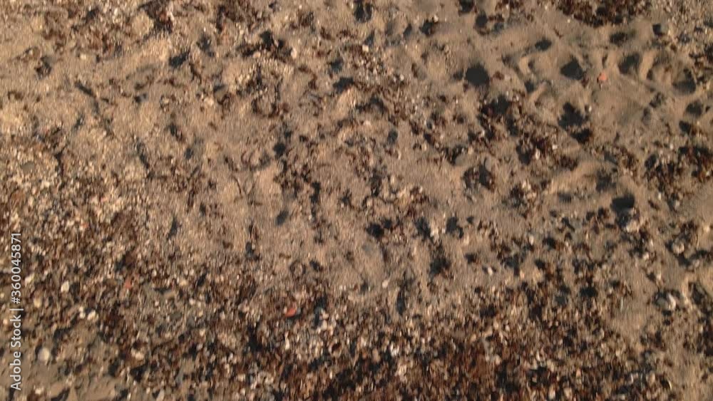 Low angle aerial view above sandy beautiful beach tilt up to ocean horizon seascape Low angle aerial view above sandy beautiful beach tilt up to ocean horizon seascape