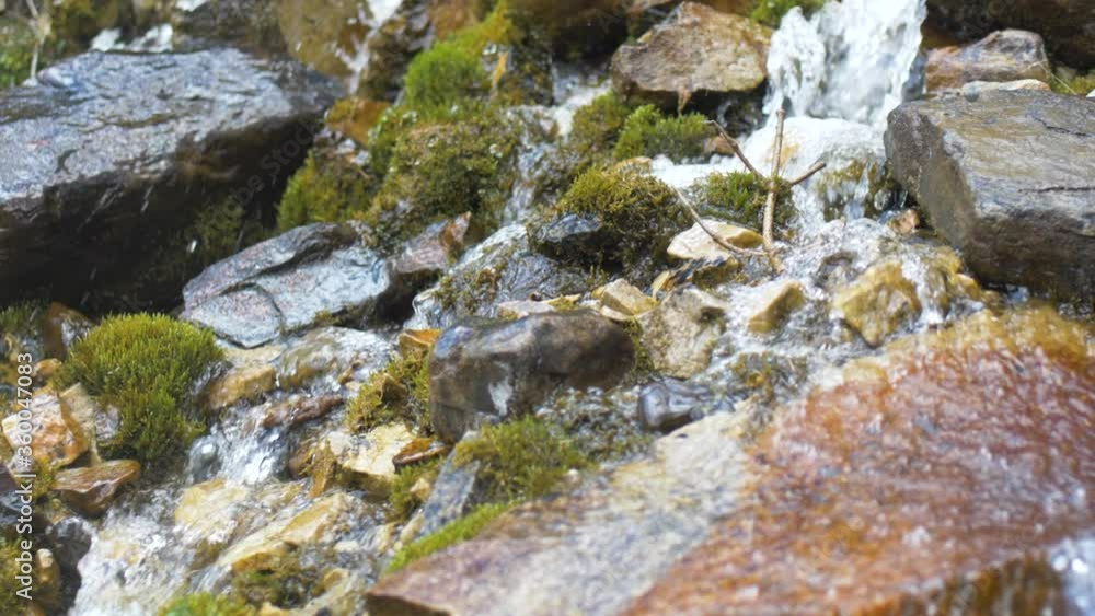 Water flowing down moss covered rocks in the forest. Water flowing down moss covered rocks in the forest.