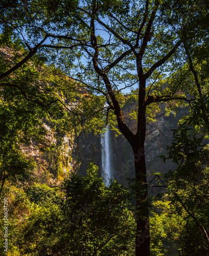 Itiquira waterfall, city of Formosa, state of Goias, Brazil. Salto Itiquira. Beautiful and paradisiac landscape. Preserved park in South America. photo