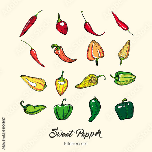 Pepper vector isolate set. Hand drawn illustration sweet bulgarian bell paprika capsicum chili red hot pepper. Line icon logo label poster print postcard. Vegetables vector illustration sketch pepper