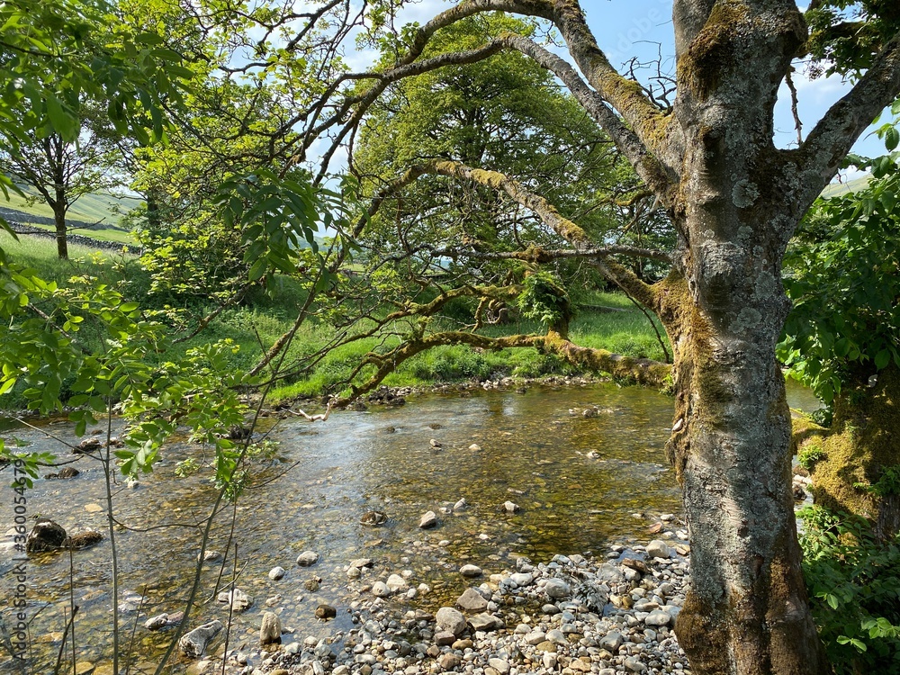 River Wharfe, with rocks and pebbles, in Kettlewell, Skipton, Yorkshire, UK River Wharfe, with rocks and pebbles, in Kettlewell, Skipton, Yorkshire, UK