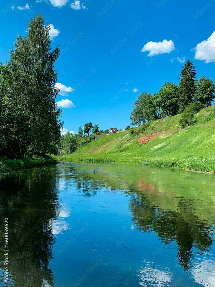 Obraz premium lake in the forest
