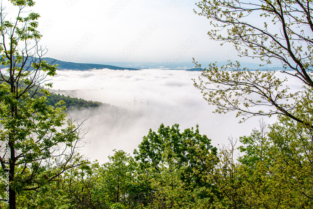 Morning fog on the hill