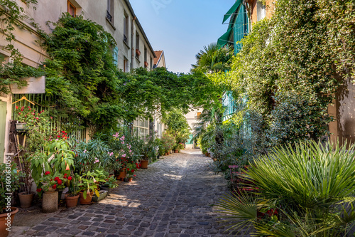 Photography Paris, France - June 24, 2020: The Figuier street with its vegetation in Paris 1