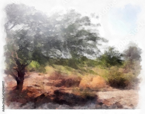 Digital painting. I'm the artist. The pictures were taken in the Wild open Desert. I am the photographer.