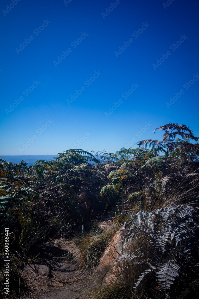 
Landscape seen from the top of the mountain, blue sky and undergrowth