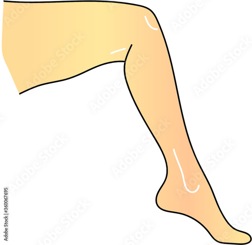 Female leg drawn from the side