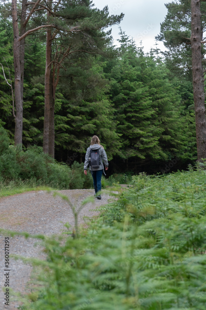 Girl (hiker) is forest path near Guinness Lake (Lough Tay) valley -  a movie and series location, such as Vikings. Close to Dublin City, popular tourist destination.