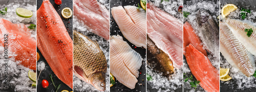 Photography Food collage of various fresh fillet fish, white fish pangasius, salmon red fish, trout fish steak with ice and spices