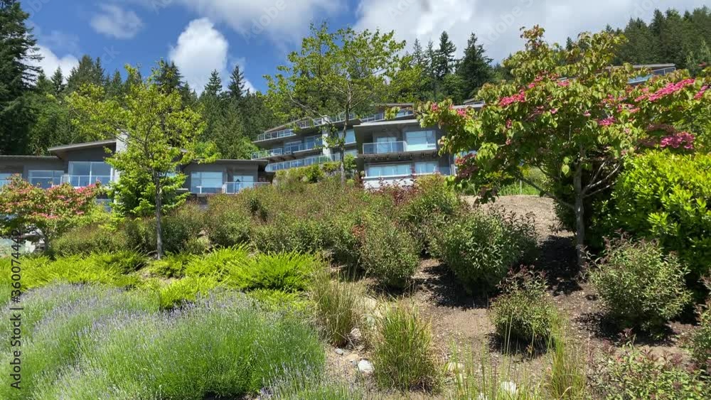 A perfect neighbourhood. Houses in suburb at Summer in the north America. Luxury houses with nice landscape.