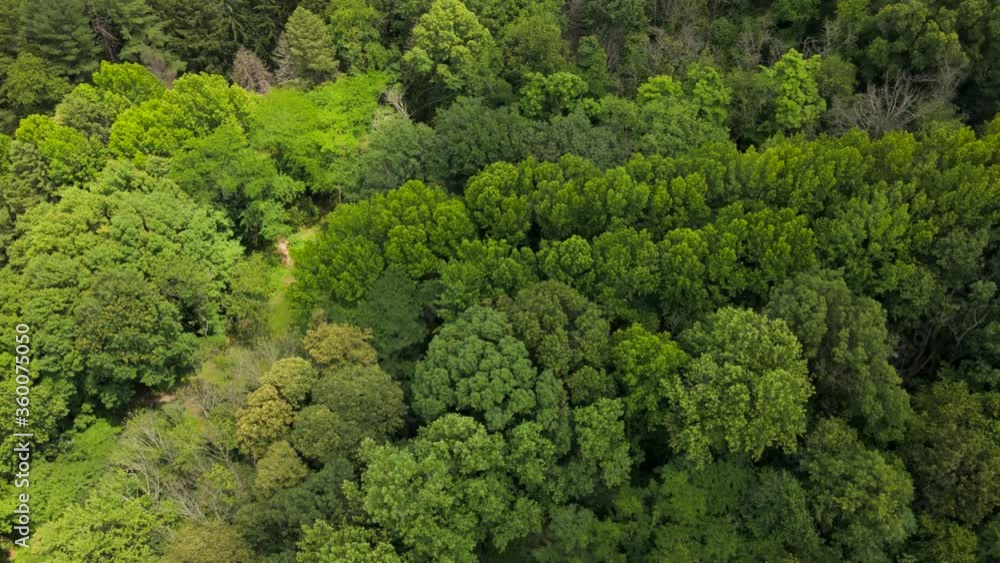 Hyperlapse Aerial Video Orbiting Around Trees in Park from above Pro Res. 4444 1080p 59.94
Hyperlapse Aerial Video Orbiting Around Trees in Park from above Pro Res. 4444 1080p 59.94