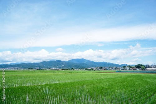 水田と空と山並み