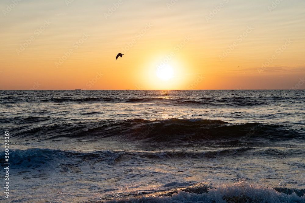 sunset on the beach