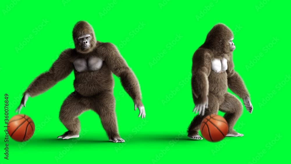 Funny brown gorilla play basketball. Super realistic fur and hair