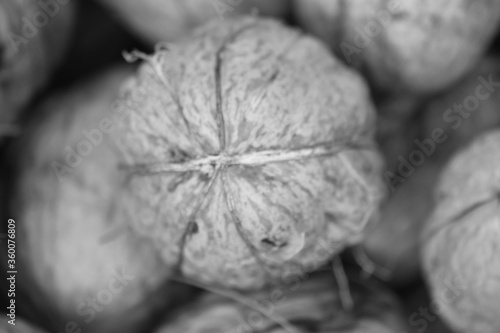 Plakat w ramie Walnuts in a black and white shade.