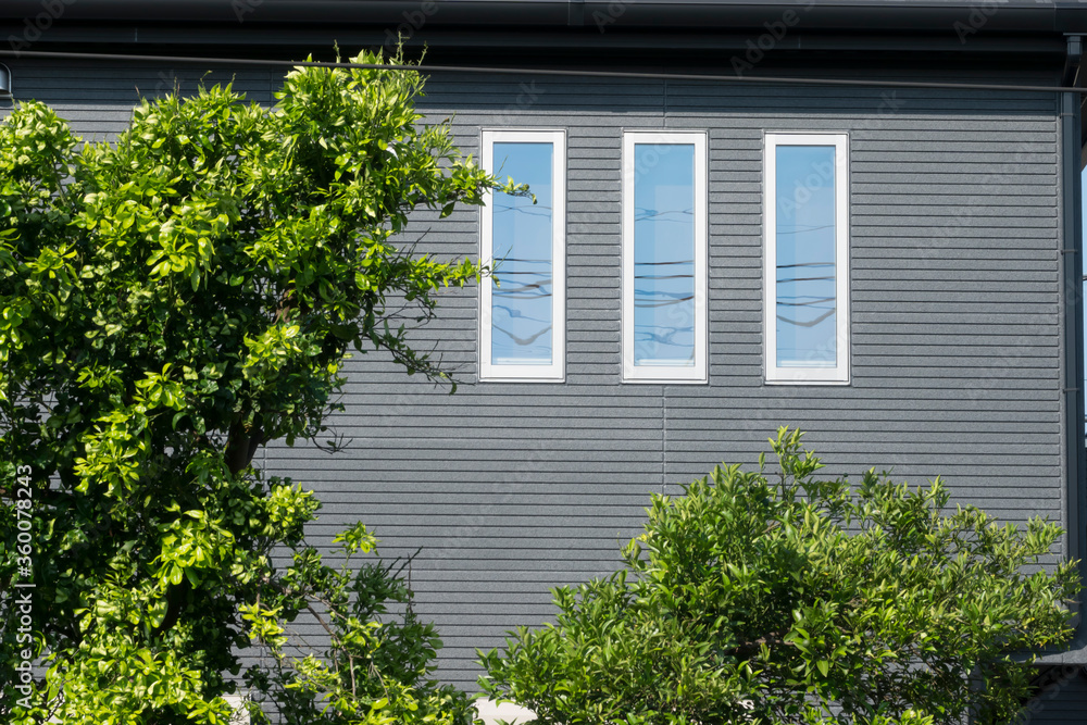 戸建て住宅　外壁面　窓と植栽