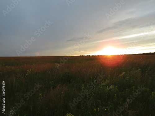 Late sunset on a summer evening in a field © Коля Герасимов
