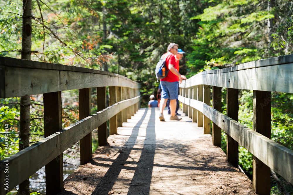 Hikers in a wooden bridge in Canada Hikers in a wooden bridge in Canada
