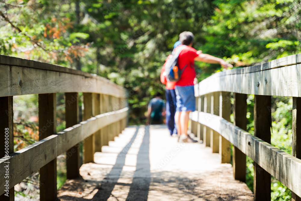 Hikers on a bridge in Canada