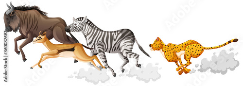 Wild animals group are running cartoon style isolated on white background