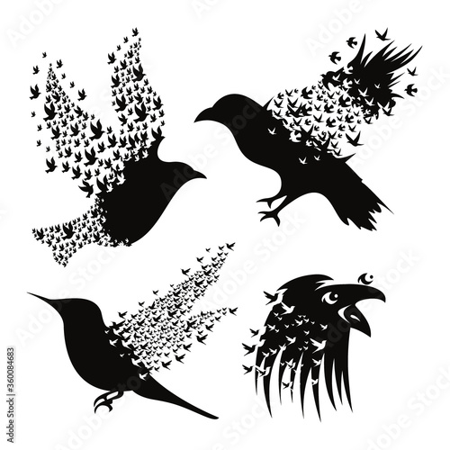Black raven bird vector sketch template