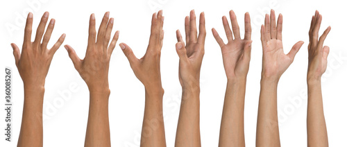 Collage of man hands on white backgrounds