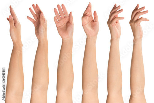 Collage of woman hands on white backgrounds photo