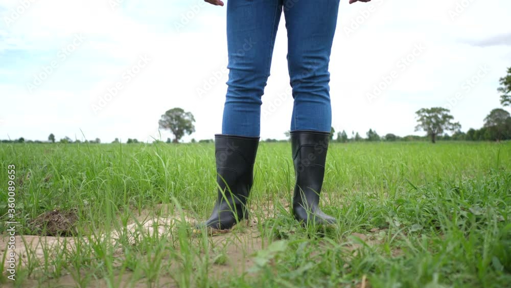 Again young farmer explored the fertility of his farm before farming. Again young farmer explored the fertility of his farm before farming.