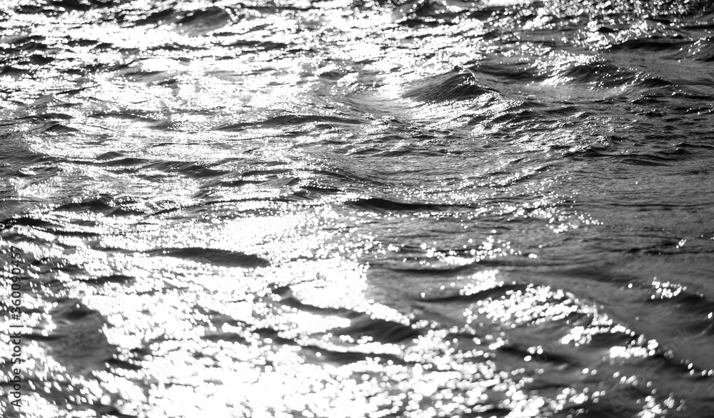 Obraz premium Black and white abstract water background Beautiful