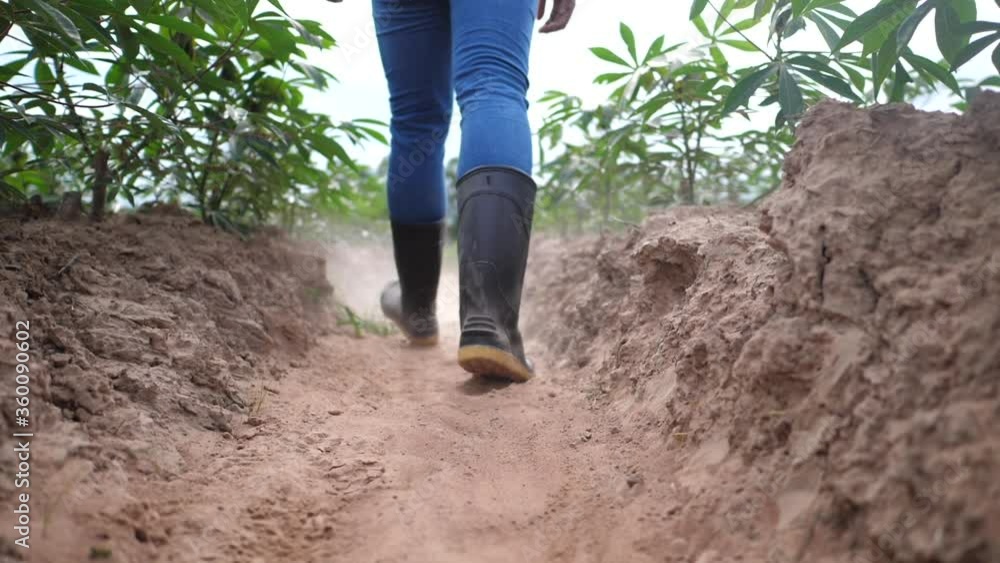 The farmer's feet walked to explore the non-toxic farm and watch the plant growth on his farm. The farmer's feet walked to explore the non-toxic farm and watch the plant growth on his farm.