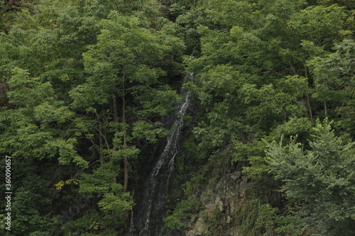 Forest waterfall