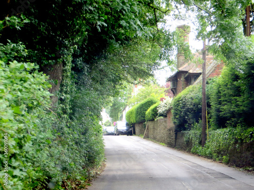 summer traditional street in the english village with houses and greenery
