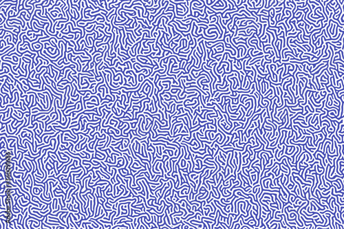 Seamless Turing Pattern. Abstract Illustration.
This collection is modern and minimal with a natural organic feel to it; it's perfect for any kind of digital or print project.