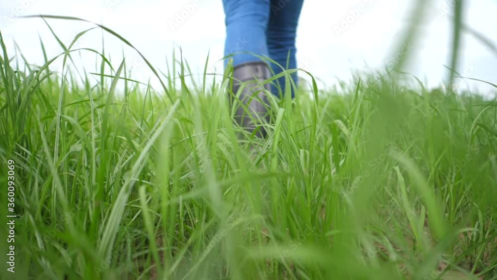 Again young farmer explored the fertility of his farm before farming. Again young farmer explored the fertility of his farm before farming.