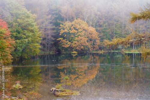 秋のカラフルに紅葉した御射鹿池の風景