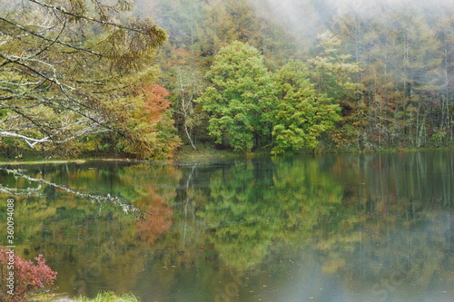 Fototapeta Naklejka Na Ścianę i Meble -  秋のカラフルに紅葉した御射鹿池の風景