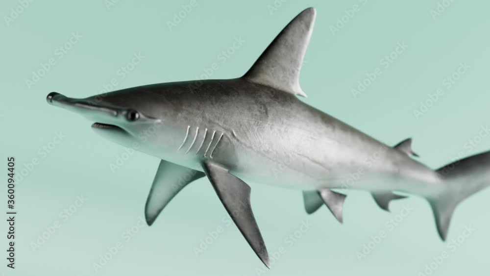 Swimming shark is turning into omega-3 capsules. Body's immunity product. 4K HD Swimming shark is turning into omega-3 capsules. Body's immunity product. 4K HD