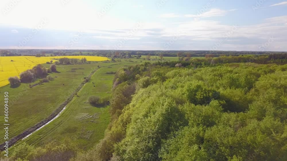 Sky, rapeseed, forest and drone. Spring colours, yellow, green and blue. Sky, rapeseed, forest and drone. Spring colours, yellow, green and blue.