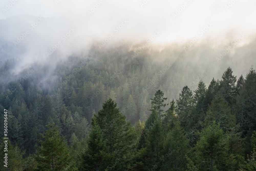 light cuts through the fog in the mountains light cuts through the fog in the mountains