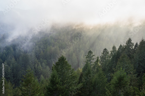 light cuts through the fog in the mountains
