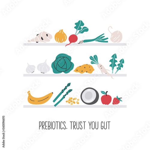 Prebiotic fruit and vegetables pantry shelf hand drawn illustration.