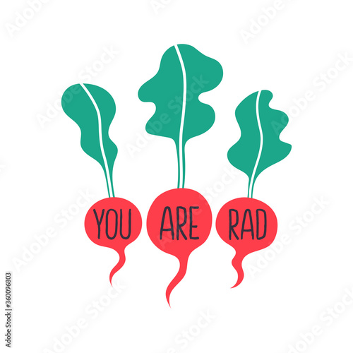 You are rad radish slogan hand drawn poster illustration on white background.