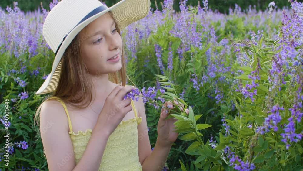 Adorable teenage girl in hat sniffing flowers on green meadow. Beautiful smiling young girl in dress and hat smelling beautiful purple flowers on blooming field at summertime Adorable teenage girl in hat sniffing flowers on green meadow. Beautiful smiling young girl in dress and hat smelling beautiful purple flowers on blooming field at summertime