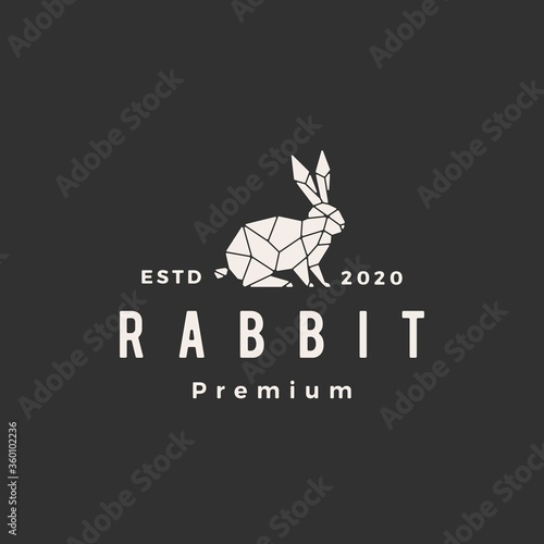 geometric rabbit hare bunny hipster vintage logo vector icon illustration